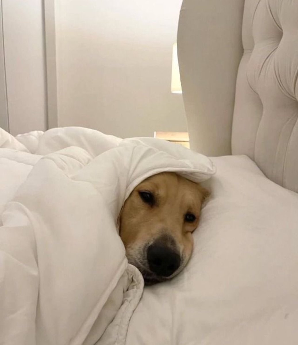 Es sábado y el cuerpo lo sabe
El cuerpo: