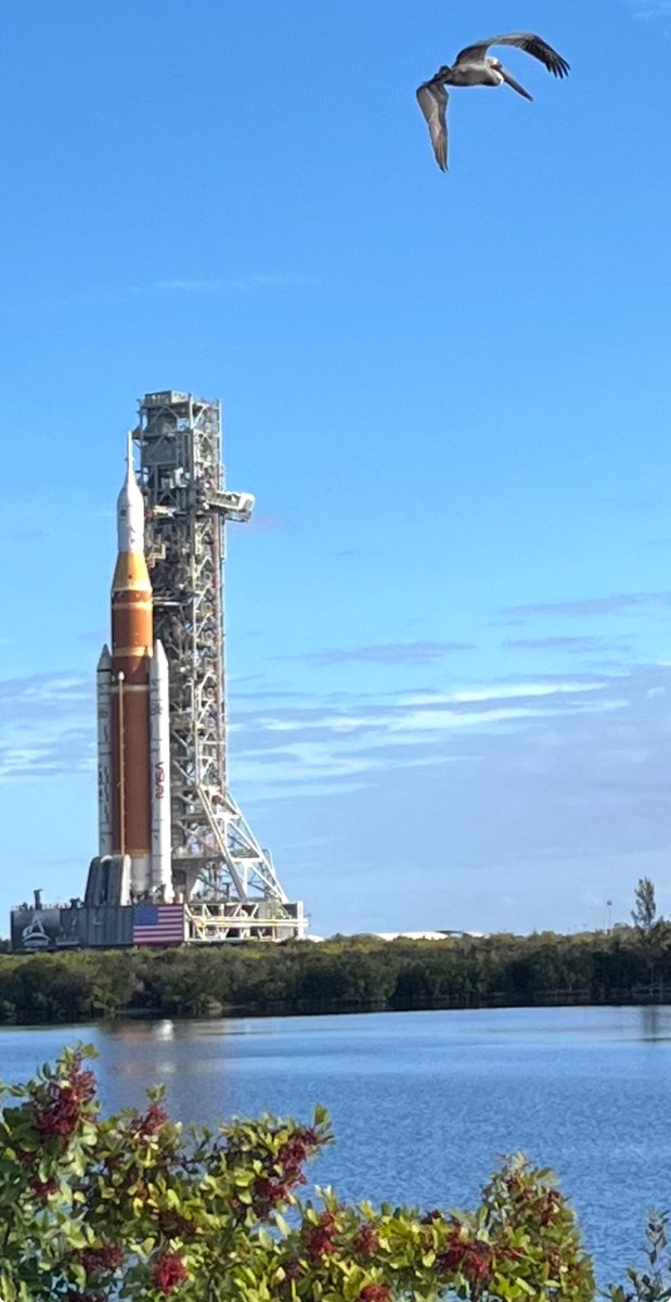 When nature photo-bombed humanity’s biggest leap. As <a href="/NASA/">NASA</a> moved its rocket to the launchpad pad today - a milestone on the #Artemis II mission timeline - a bunch of pelicans dropped by to remind us that before aircraft and rockets, flying was just for the feathered.