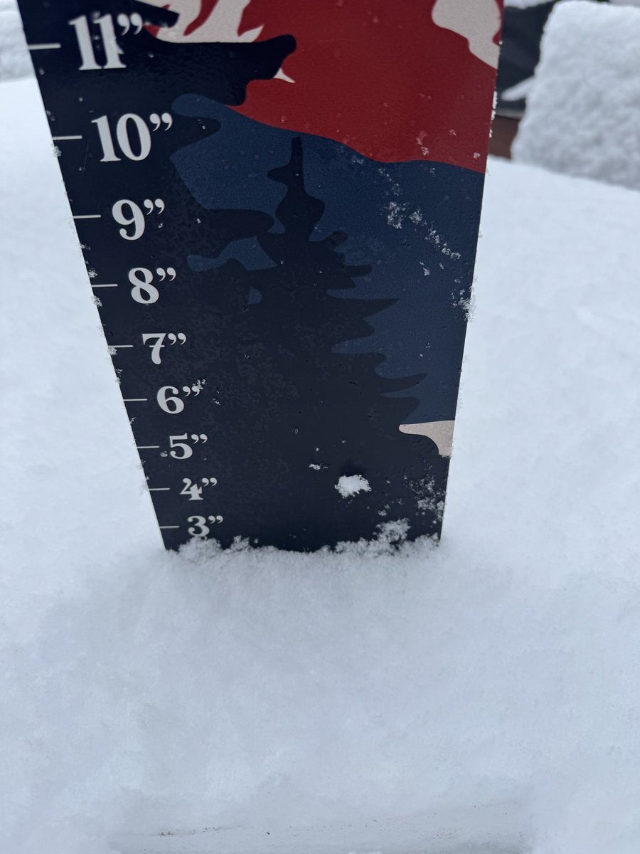 Mitchell tweet media