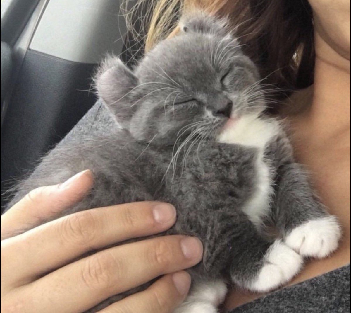 Hoy por primera vez en mil millones de años no haré absolutamente nada. Pero ni salir a la esquina; descanso bien merecido que tengo.