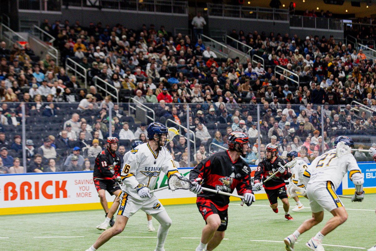 NLL's tweet photo. It was a special night for lacrosse in Edmonton 🧡  #NLLUnBOXed https://t.co/aGkyuximGM