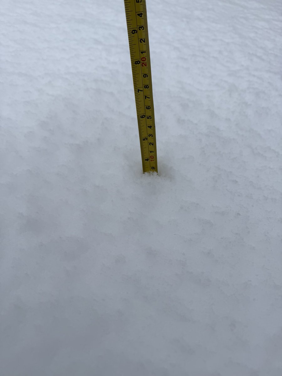 dancastner's tweet photo. 3.5” croton-on-Hudson, NY (westchester county) 2:30pm @NWSNewYorkNY https://t.co/bdFTfr4pog
