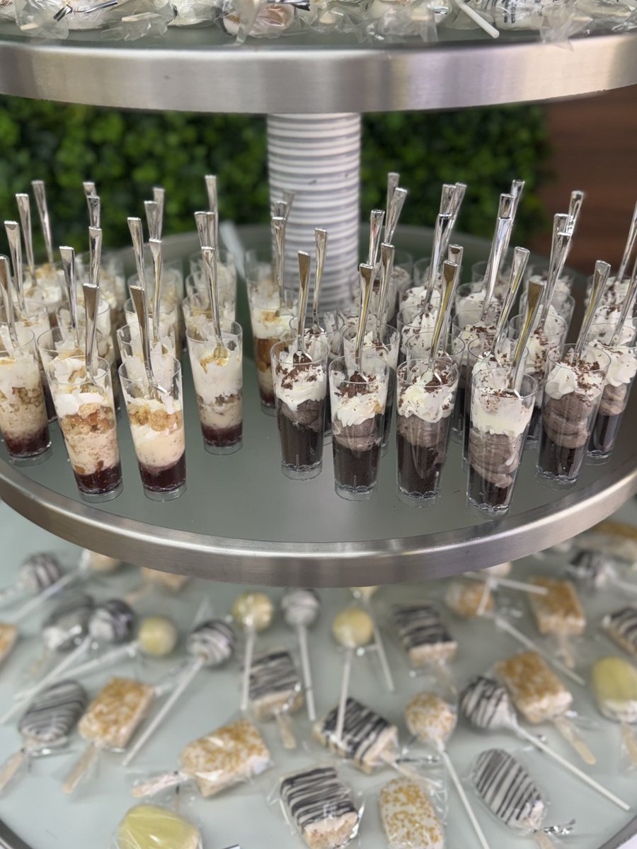 Parkland Matador Volleyball tweet media