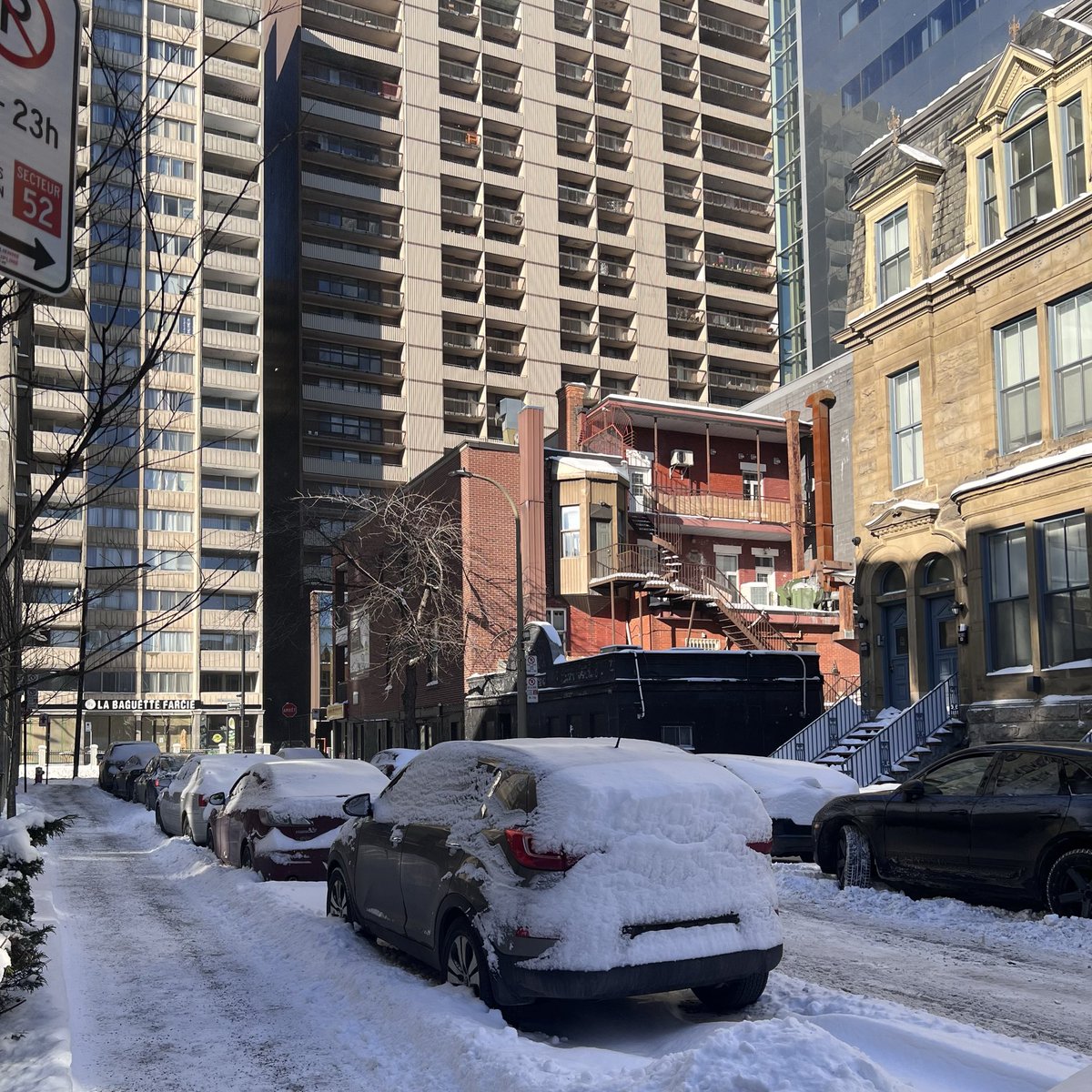 Panpanpan🐊 tweet media