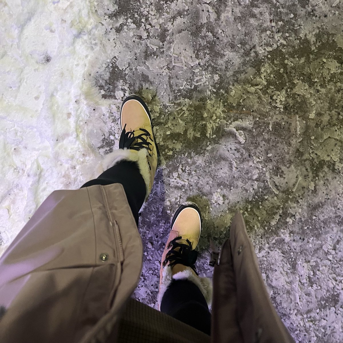 Panpanpan🐊 tweet media