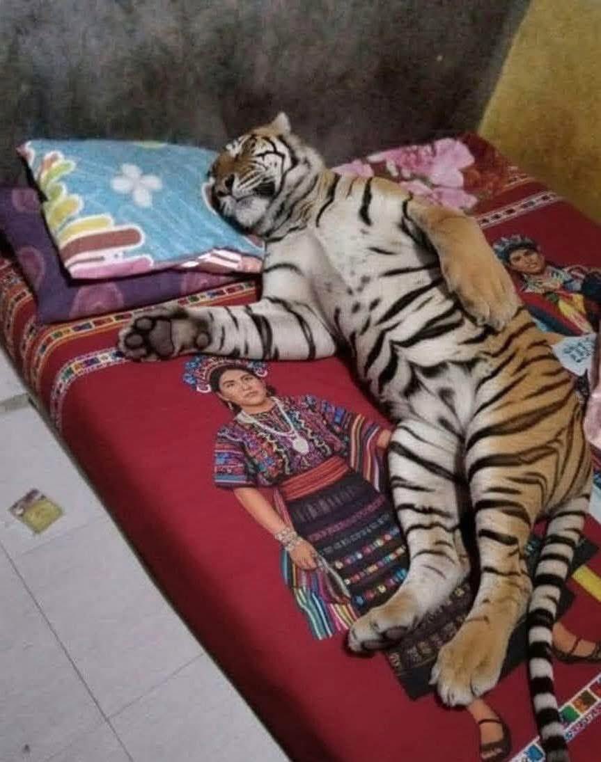 In an alternate universe