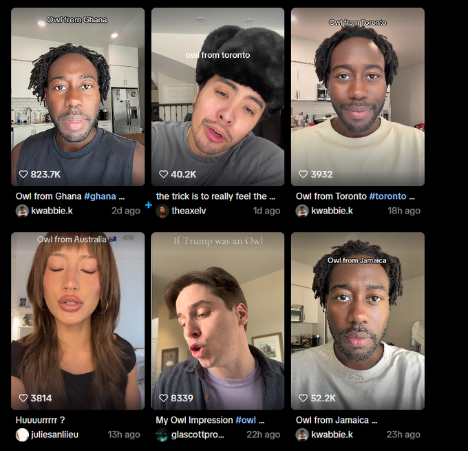 A new viral trend is arising where people are doing OWL impressions from their favourite countries. These videos have started gaining traction with 2M+ VIEWS and 3M+ LIKES IN THE LAST DAY. We are early to the next big tiktok trend. 

CA: