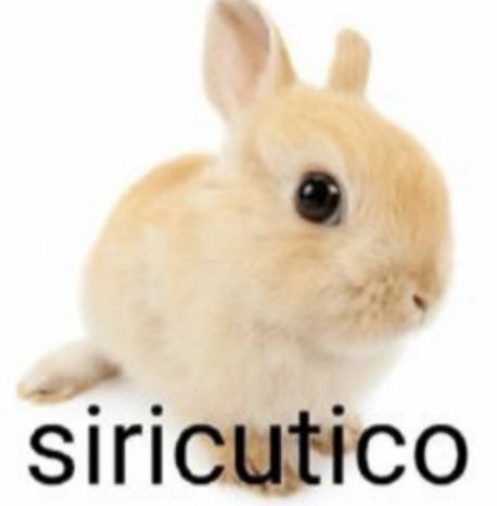 É assustador ver que tem pessoas que tao tipo lendo o que eu escrevo tipo 6 anos escrevendo pra 0 pessoa e de repente tem um grupo mt fofo de pessoas muito queridas dizendo que eu sou mt mt legal ai eu amo voces