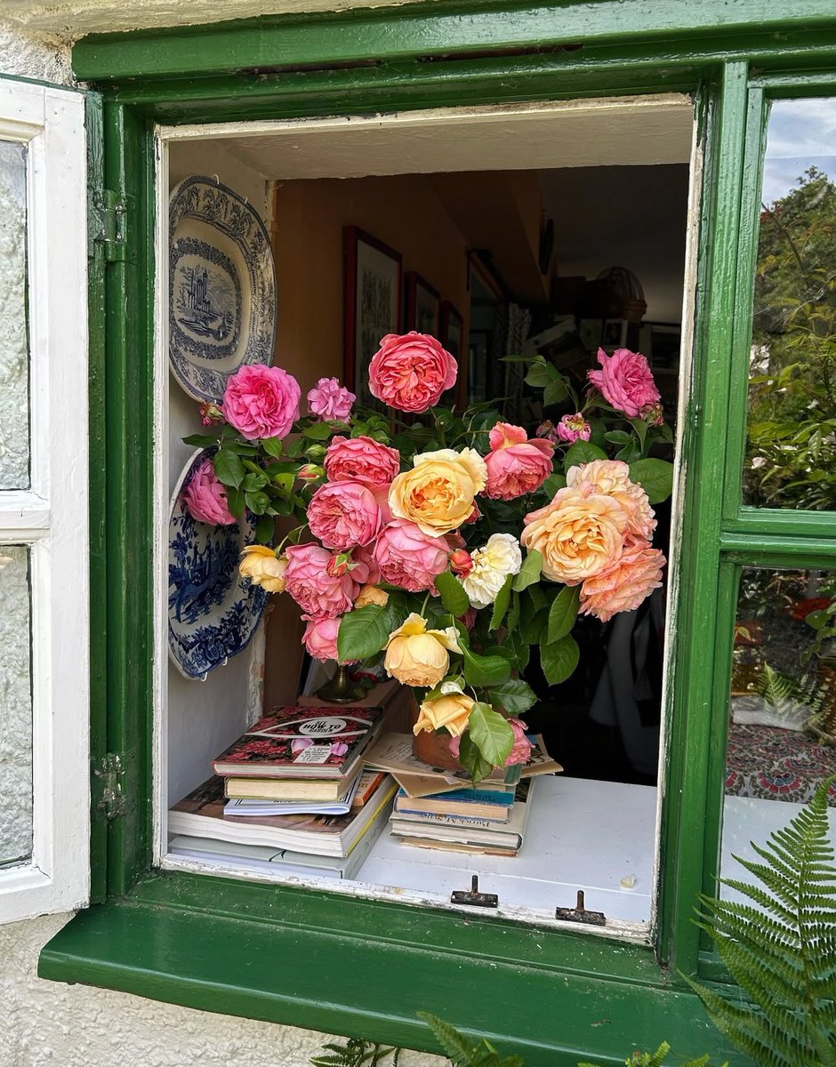 1leio's tweet image. 