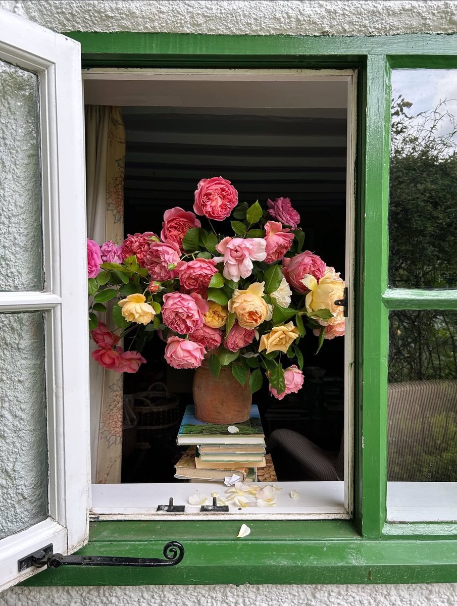 1leio's tweet image. 