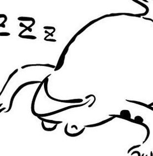 khor11's tweet image. すごくモヤモヤから置き配 🐓