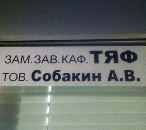 Вулик (@bdzholaya) on Twitter photo 