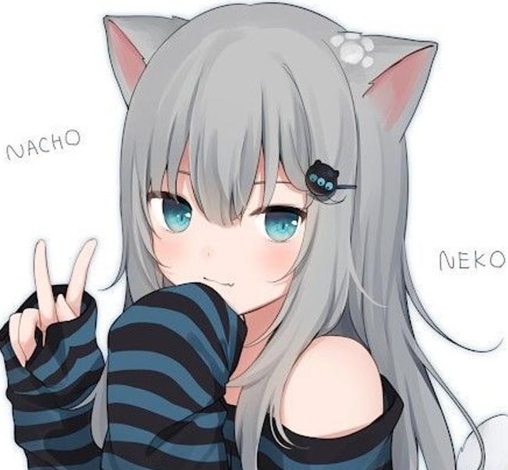 BOSSBICK's tweet image. 昼前の予定
・情報収集
・LINE
最高だった 🌼