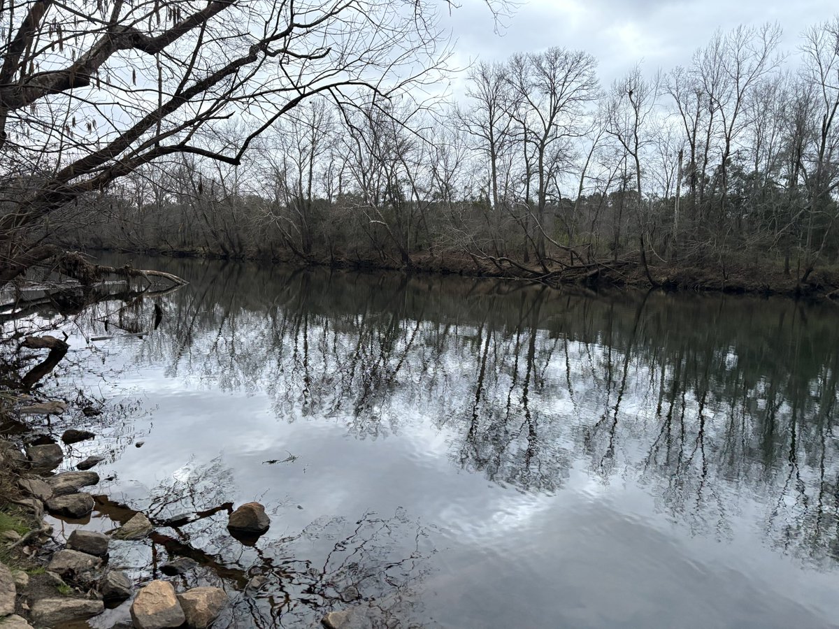 Spackle's Speedsters tweet media