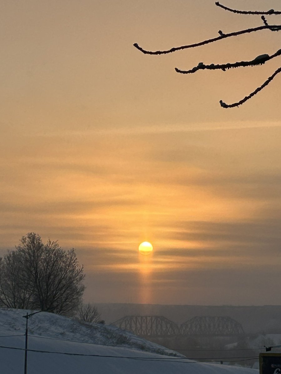 mpetrachkova's tweet photo. 17.01.2026 https://t.co/IOgh5EQmlC