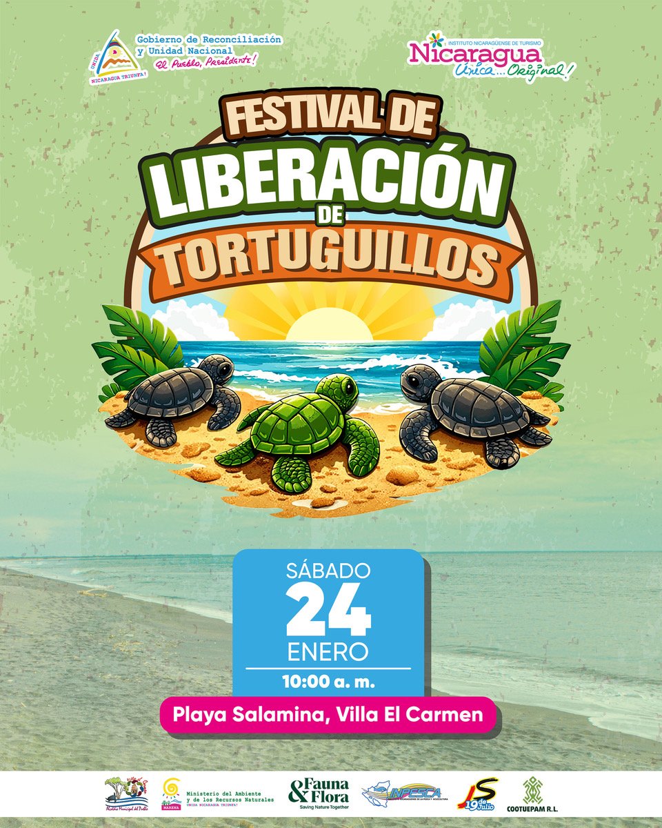 Promoviendo la preservación y conservación de las tortugas marinas en peligro de extinción y el Turismo Sostenible 🐢

¡Te esperamos!

📍Km 45 carretera a Pochomil 15 km. al sur. Entrada a la comunidad Samaria

#NicaraguaFascinateIrresistible
<a href="/InturNicaragua/">Instituto Nicaragüense de Turismo</a>