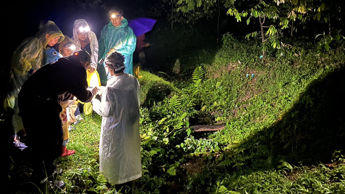 rreadresistance's tweet image. Hii!! aku baru pulang ekspedisi jamur di hutan kampus IPB bareng bogor naturalis. SERUUUUUUUUUU BANGETTT akhirnya impianku ini terwujud, bahkan lihat jamur glow in the dark 🥹🍄