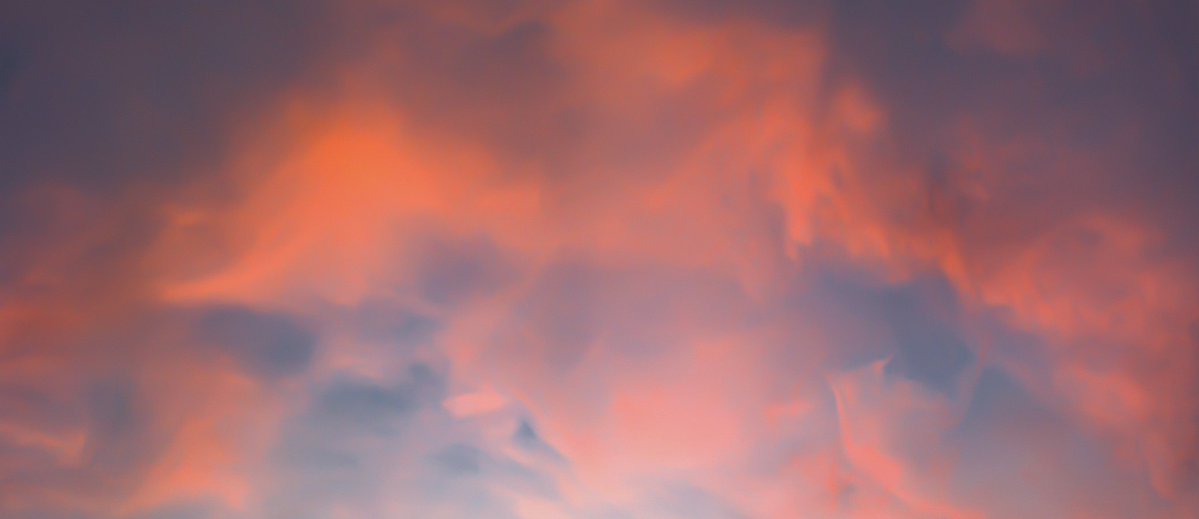 IBZBLUE's tweet image. Tap the post #ManUtd