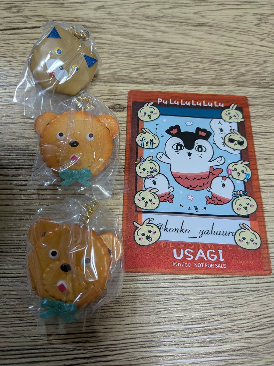 こんこ@ヤハウラ tweet media