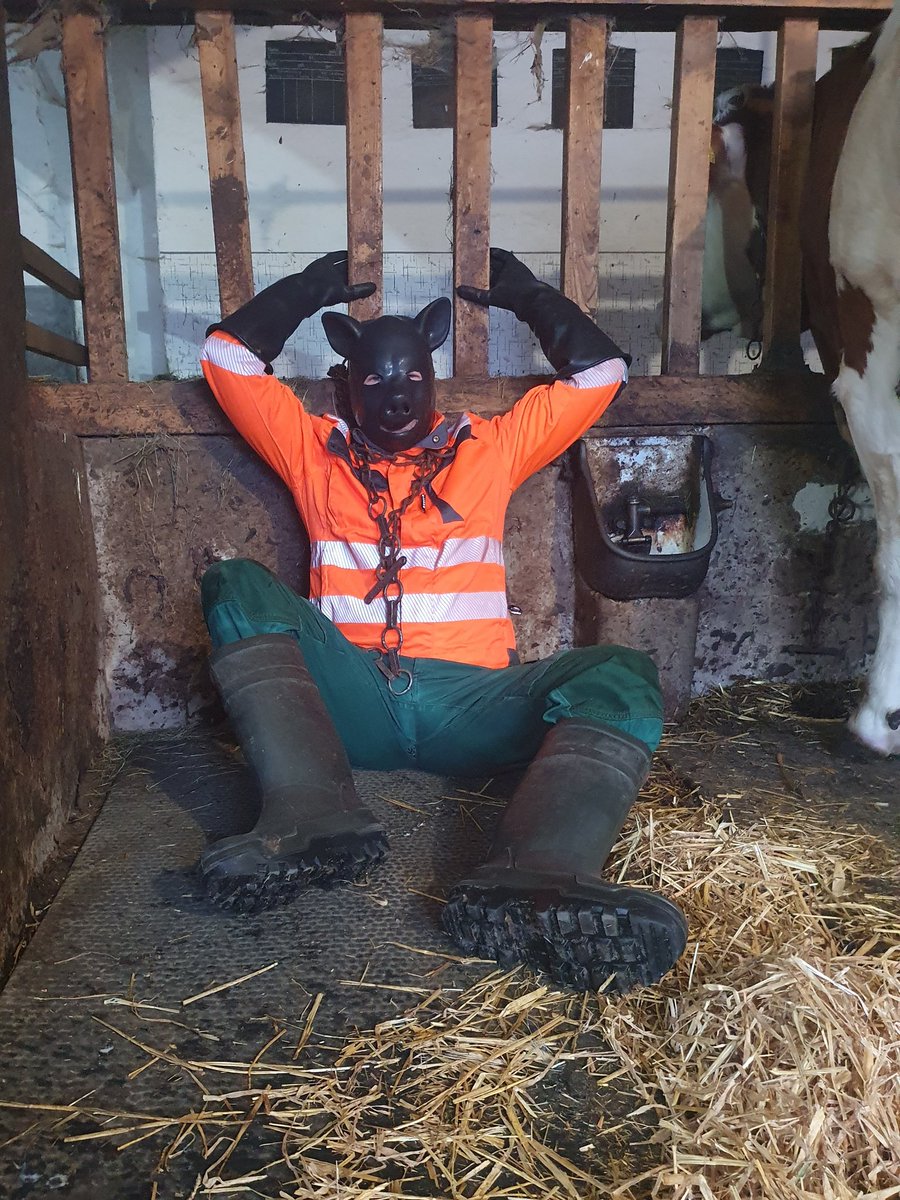 PuroHaix (@haixpuro) on Twitter photo 