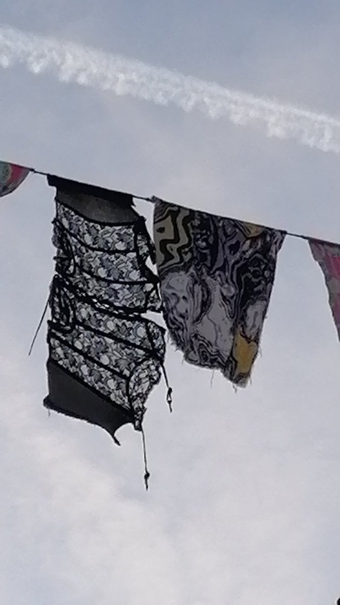 Edel. Wie ein Madrigal (@zwetswet) on Twitter photo 