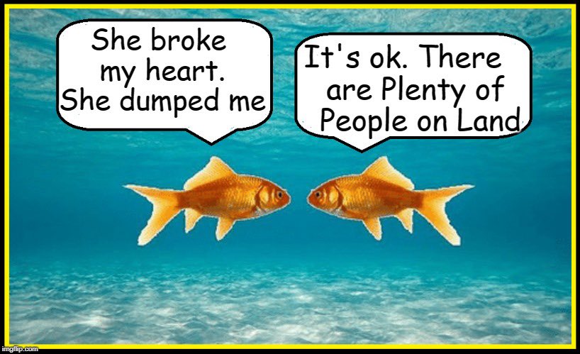 kindfishfriend's tweet image. 