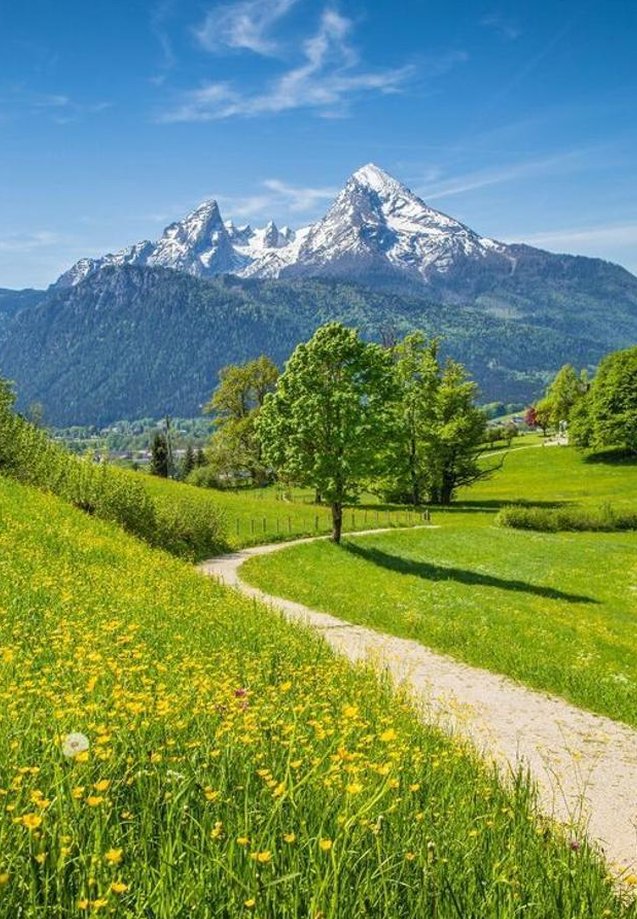 altskater's tweet image. 何度もテンション高めくなってきた ⛄