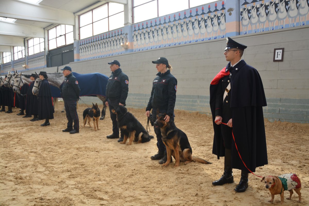 StevLova's tweet photo. Quello al centro e' il nostro bel carabiniere!!! (il cane, eh) https://t.co/r1PJ1kBJaW
