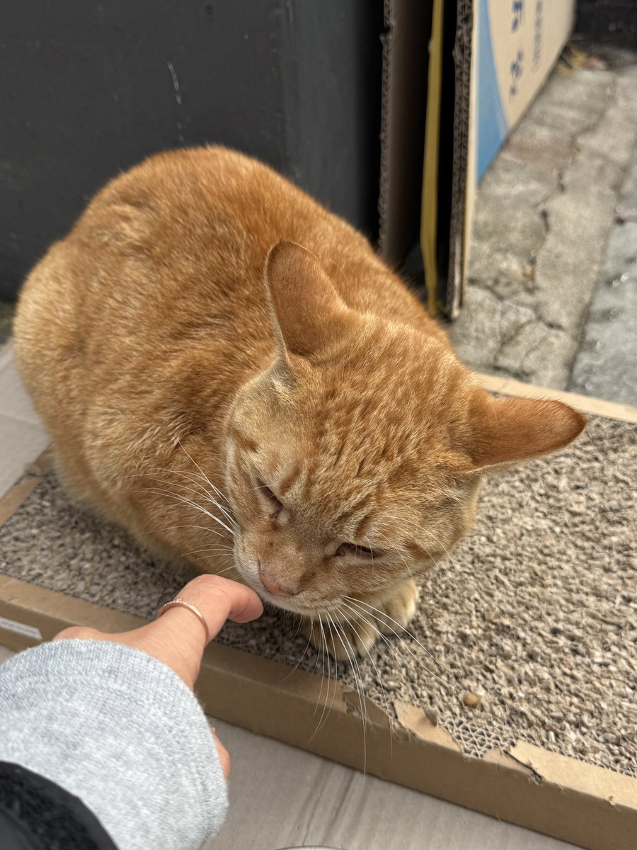 지난주부터 매일 30분 걷기 하고있어요
- 일요일은 쉽니다 -