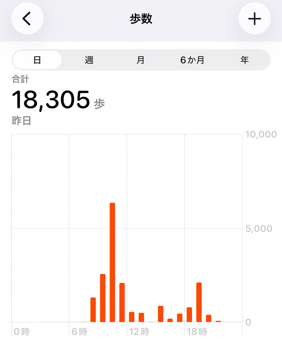 あ、今日はそこそこ歩いたぞ！という記録