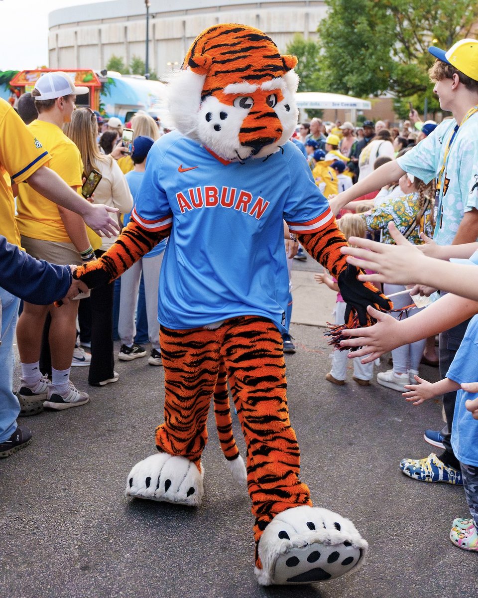 AuburnBaseball's tweet photo. Go get ‘em, @AubietheTiger01! 🏆 

Good luck at Nationals! 

#WarEagle https://t.co/8I3oih5ovn