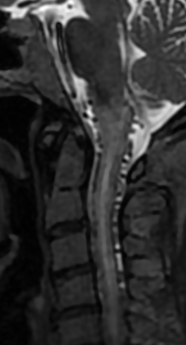 Jack Garnham tweet media