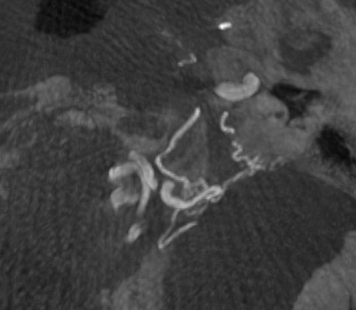 Jack Garnham tweet media