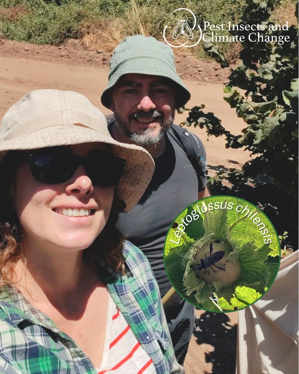 Research Ring in Pest Insects and Climate Change tweet media