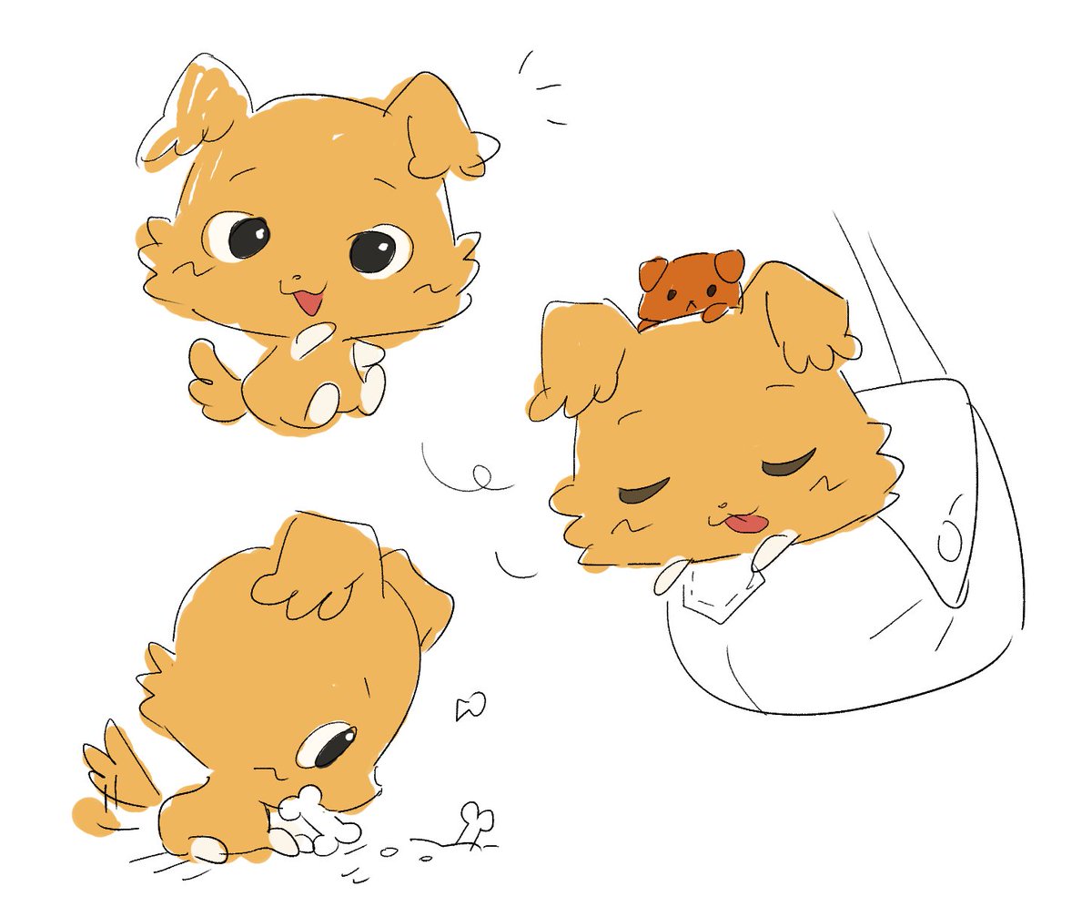 치비마루 취미랑 좋아하는 것들 전형적인 강아지의 이미지라 좋음