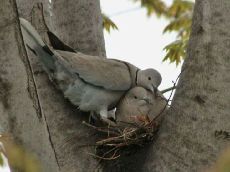 hîv. (@sorrrowfull) on Twitter photo 