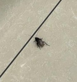 Wasdennoch's tweet image. 喫茶店でスキンケアして筋肉痛 🌨️