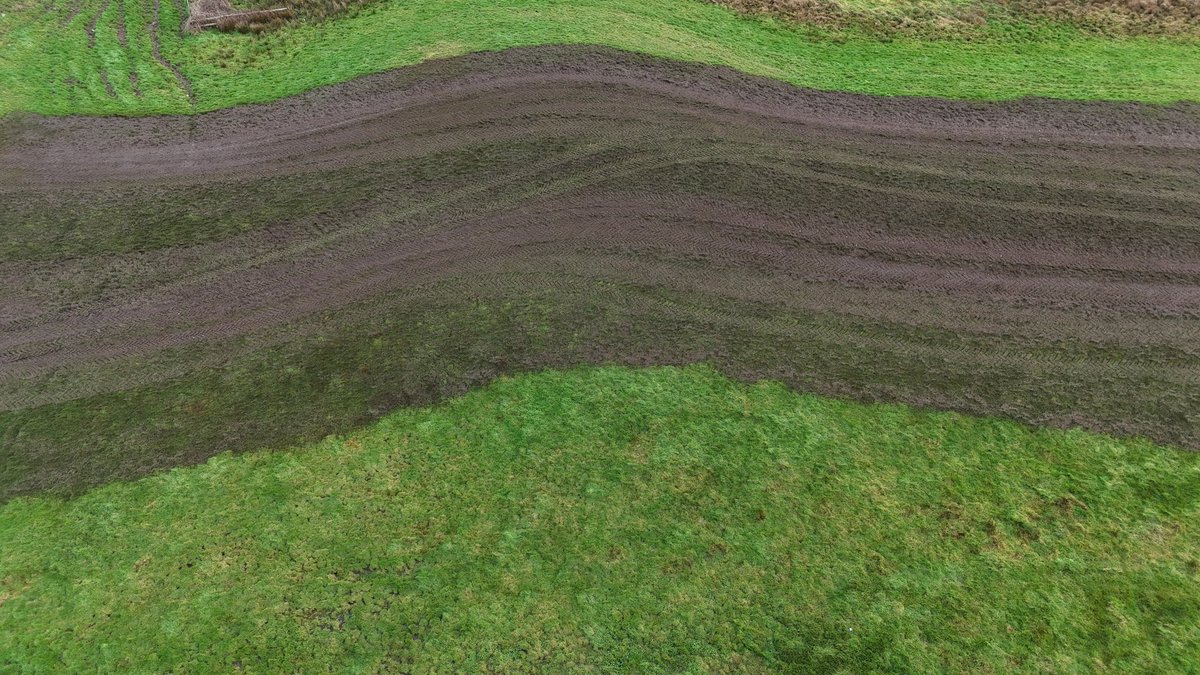 Ó Foghlú tweet media