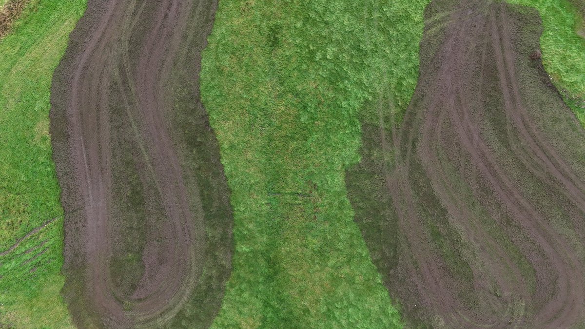 Ó Foghlú tweet media