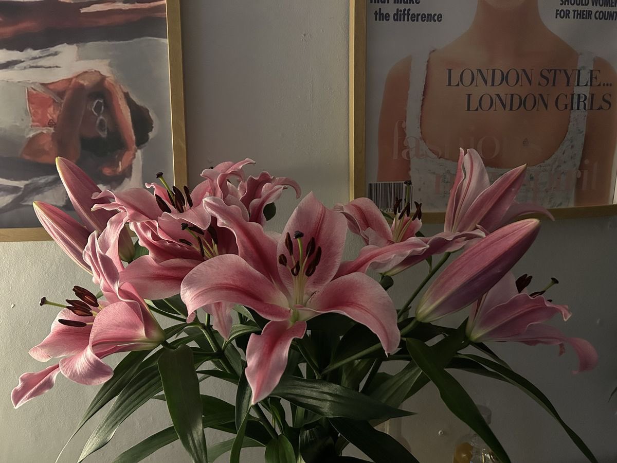 1leio's tweet image. 