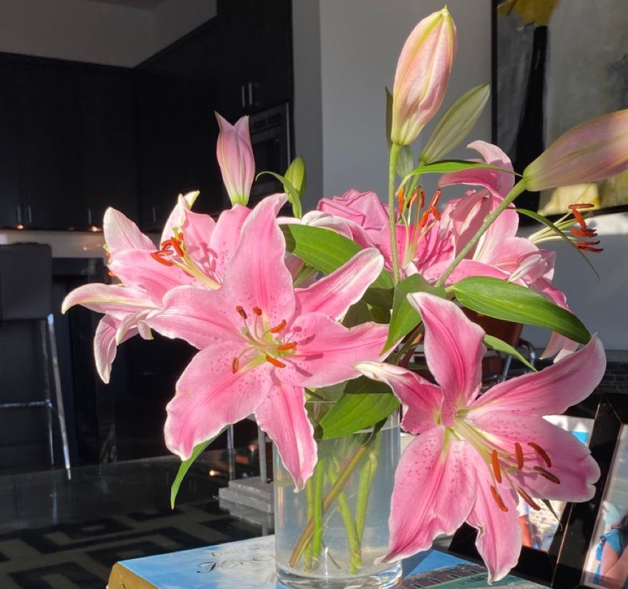 1leio's tweet image. 