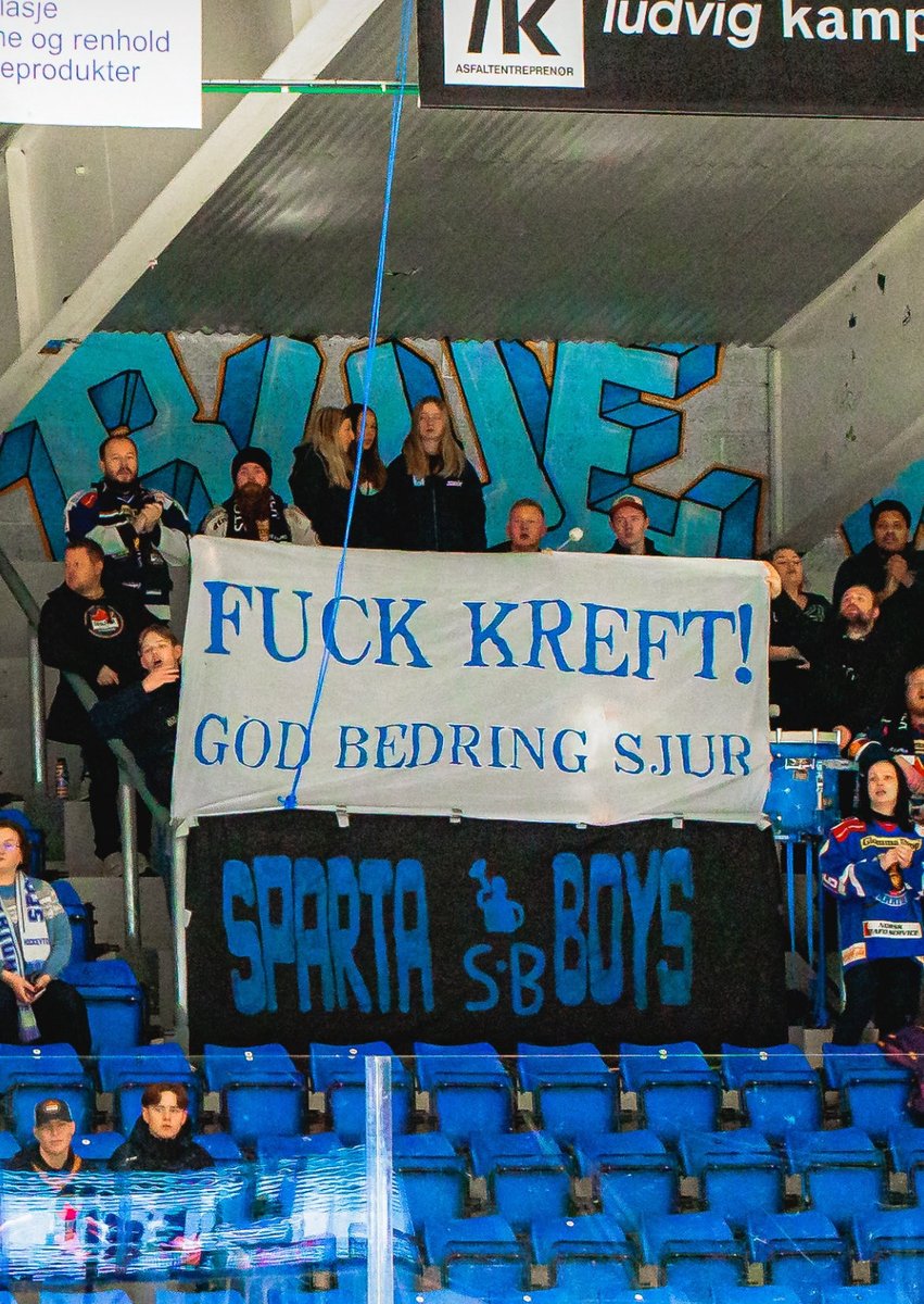 DetErSpartaForFaen tweet media