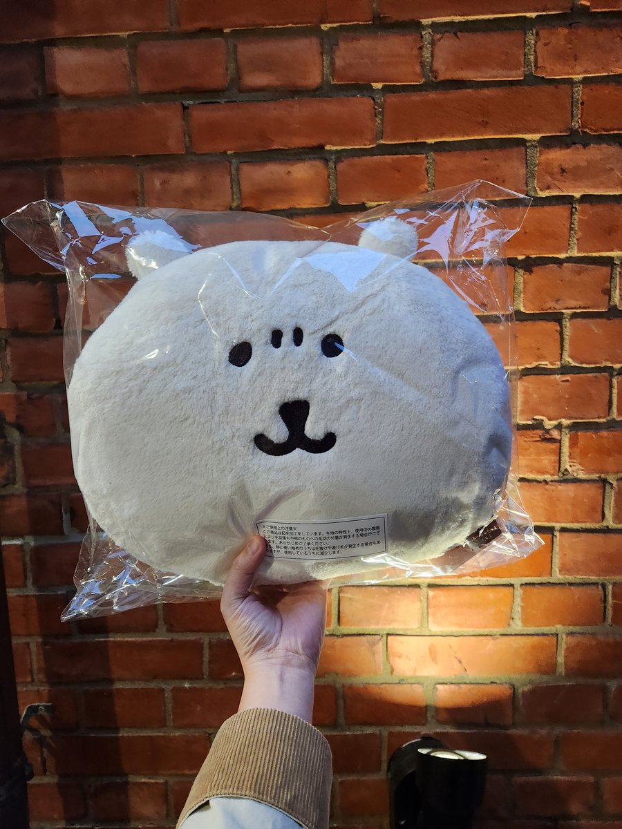 bisespei's tweet photo. 一發入魂抽中C賞😍😍
謝謝男友😘😘
#nagano #jokebear https://t.co/4rAmDeICSe