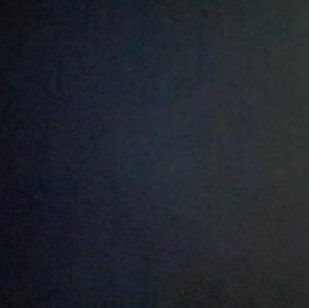 allywalker7's tweet image. レストランの日差し弱いがありがとう 🐼