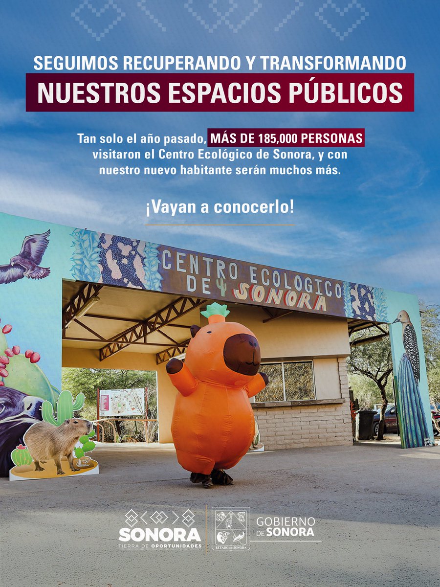 ¡Qué gusto ver cómo nuestros espacios públicos vuelven a llenarse de vida!
Seguimos recuperando y transformando lugares como el Centro Ecológico de Sonora, que tan solo el año pasado recibió a más de 185 mil visitantes. Y ahora, con un nuevo habitante, estamos seguros de que