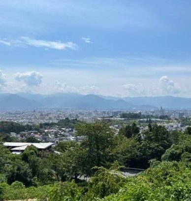 offero86's tweet image. んー蒸し物 🍕