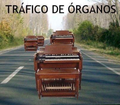 chincheto pirata somali (@wikipistacho) on Twitter photo 