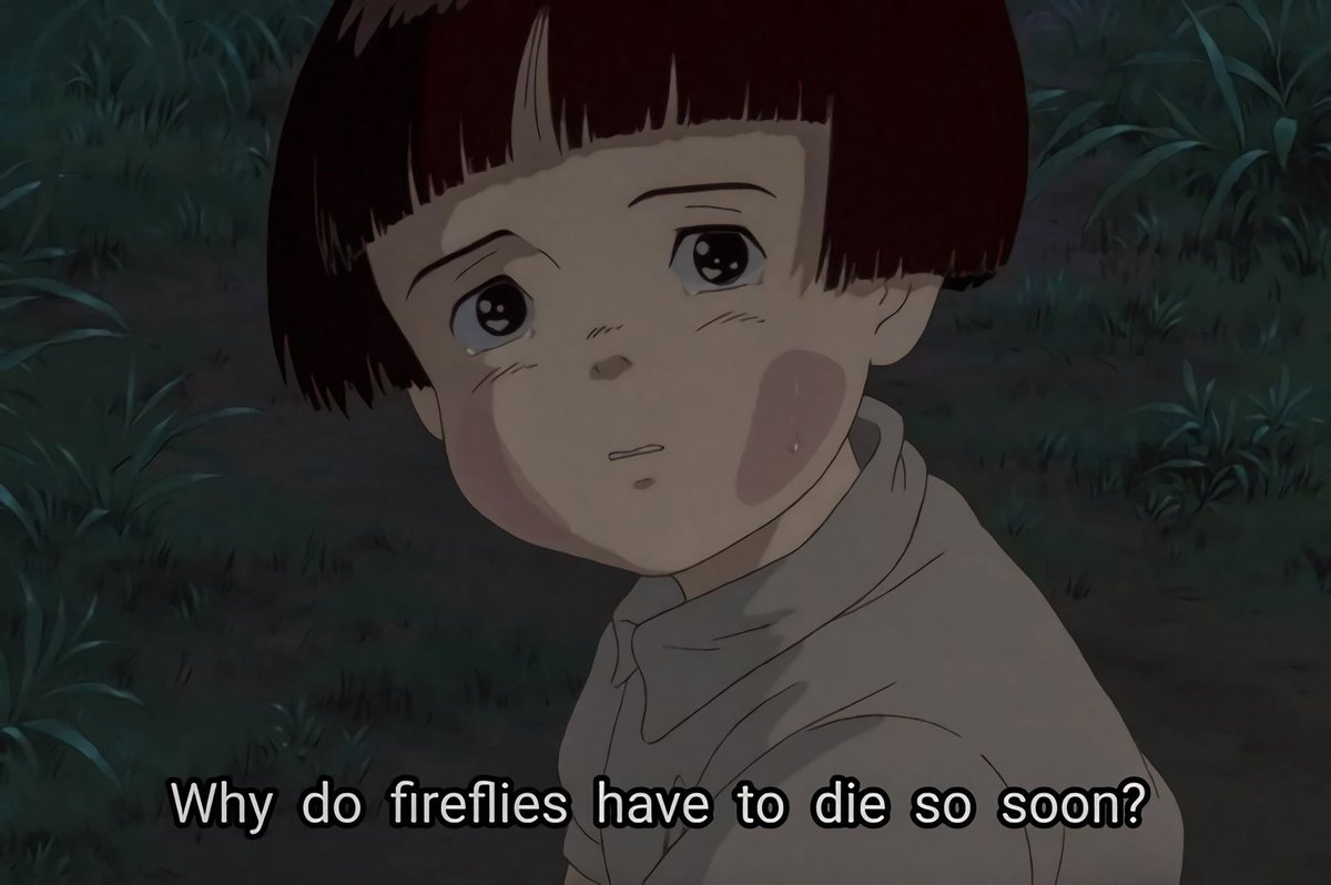 Anime : Grave of the Fireflies
