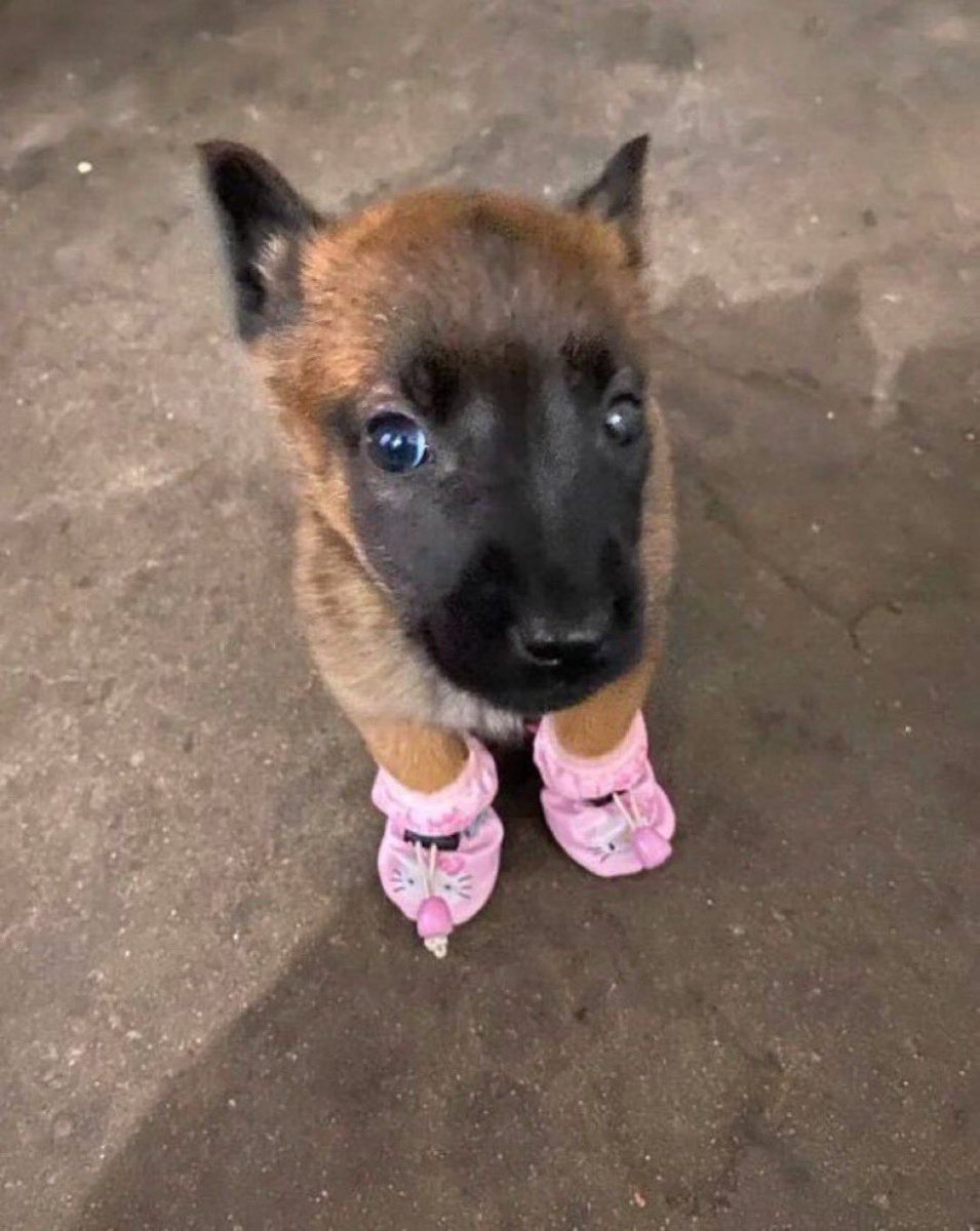 Não postaria uma sequência de fotos minhas de 2016 nem sob a mira de uma arma