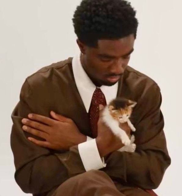StrangerNews11's tweet photo. When Sadie picked the black cat and Caleb went for the one with orange spots 😭❤️ https://t.co/dewBLVvHS7